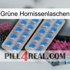 Grüne Hornissenlaschen 23
